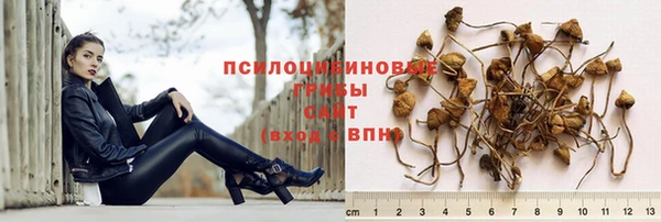 МДПВ Костерёво