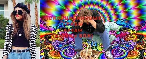 apvp Корсаков