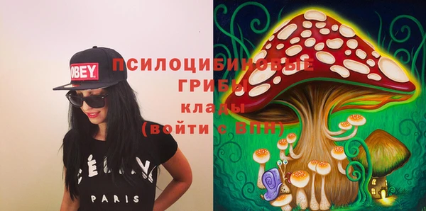 МДПВ Костерёво