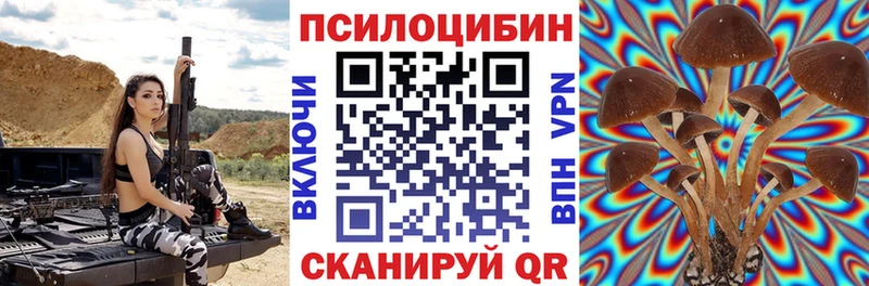 Псилоцибиновые грибы прущие грибы  Феодосия 