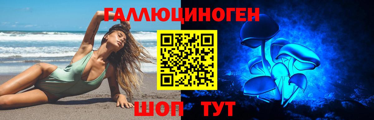 Феодосия  Псилоцибиновые грибы Psilocybe  Вход с VPN 